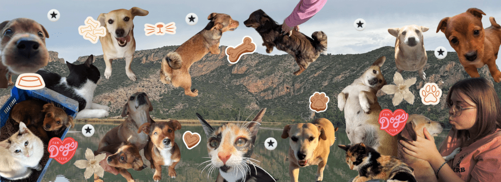Banner Animals